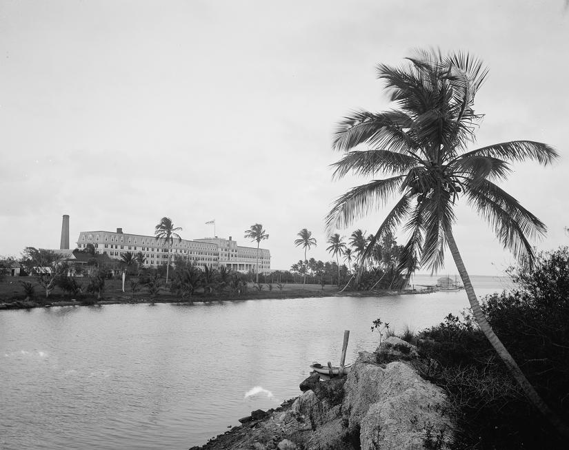Royal Palm Hotel 1901 Print
