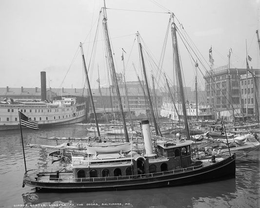 Baltimore Harbor 1905 Print