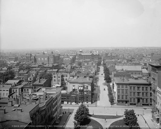 Baltimore from Washington Monument 1903 Print