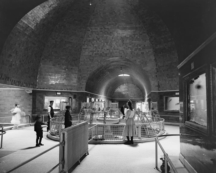 Belle Isle Aquarium 1905 Print