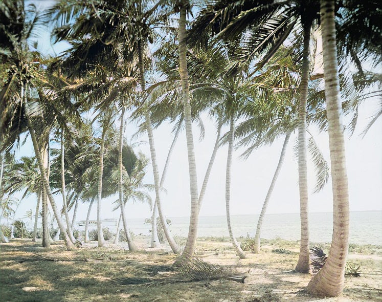Biscayne Bay 1910 Color Print