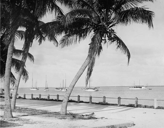 Biscayne Bay 1912 Print
