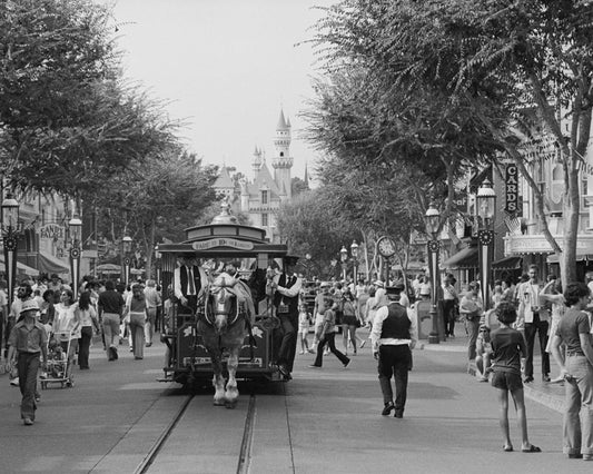 Disneyland 1974 Print