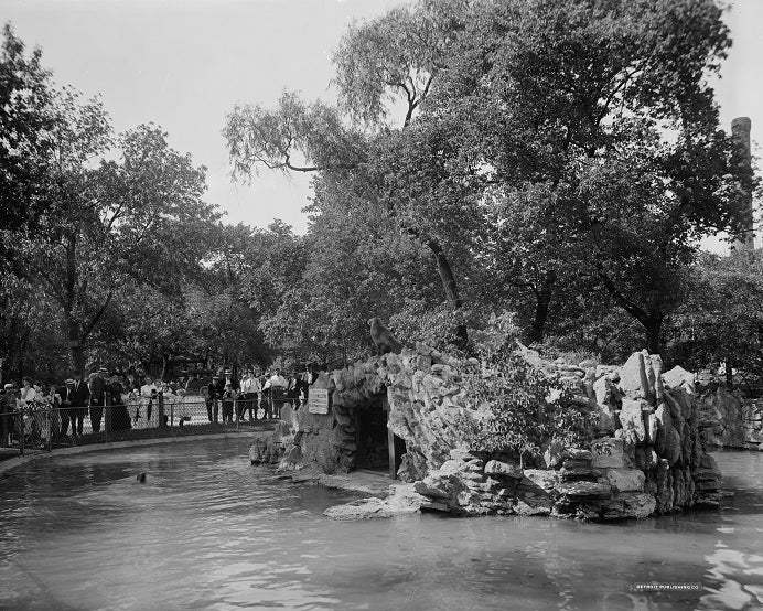 Lincoln Park Sea Lion's Cave 1910s Print