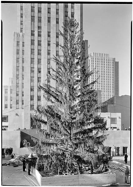 Rockefeller Center Inc. 20 Rockefeller Plaza. Christmas tree in Plaza from steps.