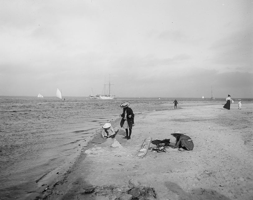 Shores of Biscayne Bay 1910 Print