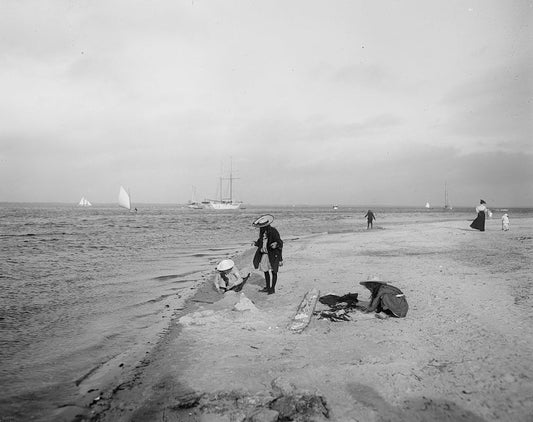 Shores of Biscayne Bay 1910 Print