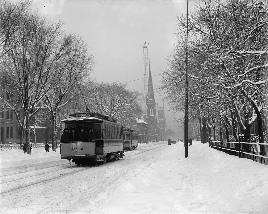 Snowy Woodward 1910 Print