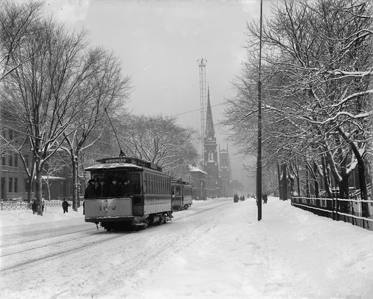 Snowy Woodward 1910 Print