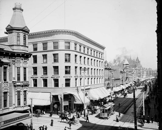 Spring Street 1905 Print