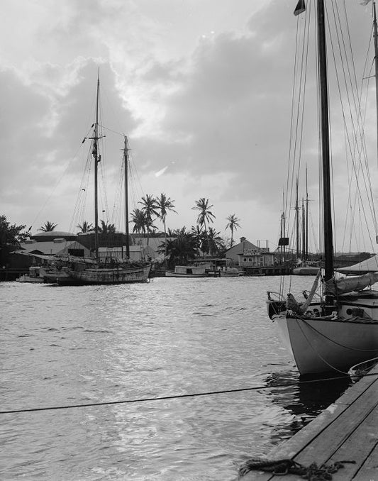 Sunrise on the Miami River 1910 Print