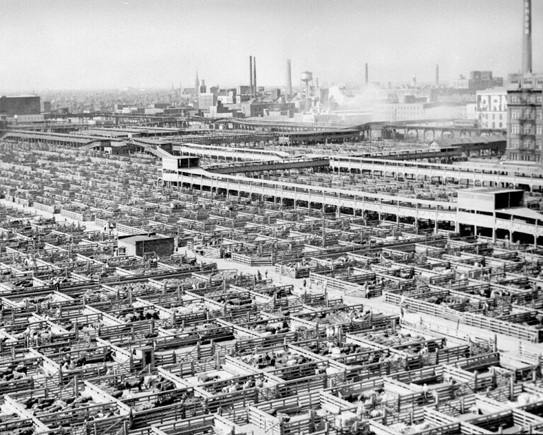 Union Stockyards 1947 Print