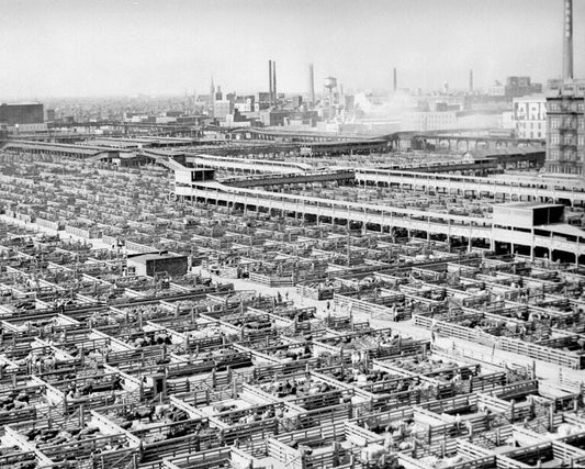 Union Stockyards 1947 Print