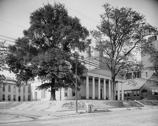 University of Maryland 1903 Print